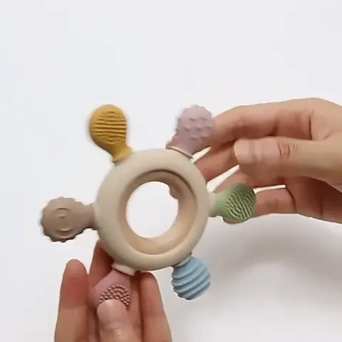 Anneau_de_dentititon_gif1